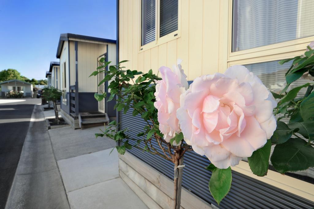 Apollo Bay Holiday Park Екстер'єр фото